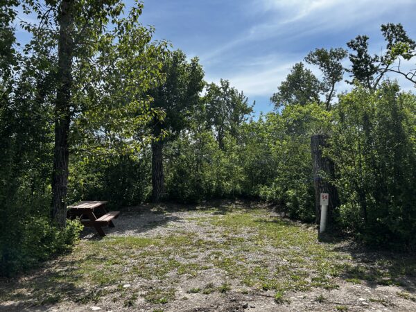 Site 14