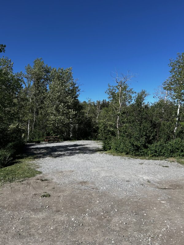 Site 29